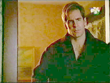 Скотт Бакула ^ Scott Bakula
