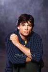 Тайны Смолвиля ^ Smallville : Том Вэллинг : Кристин Кройк : Майкл Розенбаум : Эллисон Мэк : Сэм Джонс III : Аннет О'Тул : Джон Шнайдер : Джон Глоувер : Эммануэлль Вогиер