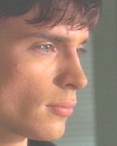Тайны Смолвиля ^ Smallville : Том Вэллинг : Кристин Кройк : Майкл Розенбаум : Эллисон Мэк : Сэм Джонс III : Аннет О'Тул : Джон Шнайдер
