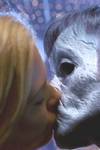 Тайны Смолвиля ^ Smallville : Том Вэллинг : Кристин Кройк : Майкл Розенбаум : Эллисон Мэк : Сэм Джонс III : Аннет О'Тул : Джон Шнайдер